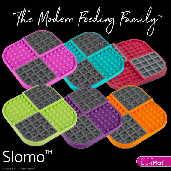 Slomo Feeder - Halloween