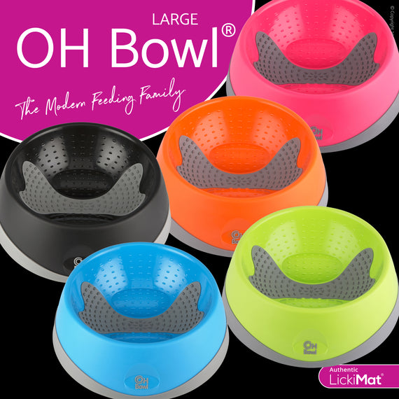 OH Bowl Dog - Large / Purple