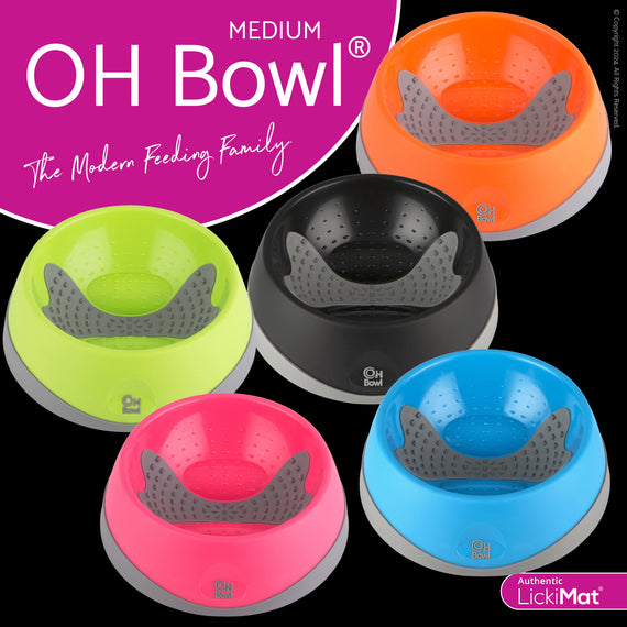 OH Bowl Dog - Medium / Purple