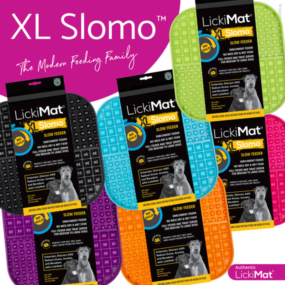 XL Slomo